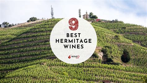 Hermitage Wine: A Dive Into This Historic Region & Our 9 Best!