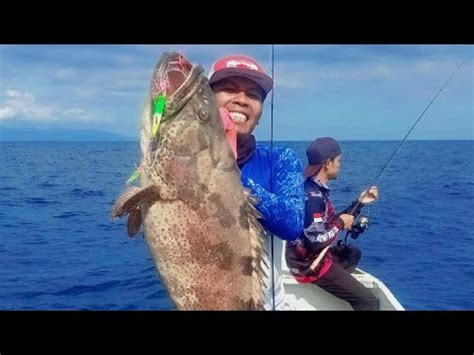 Jigging Di Spot Kerapu Grouper 17 Up Berhasil Di Taklukan Spot Bima