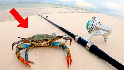 Surf Fishing With Blue Crabs For Beach Giants Youtube