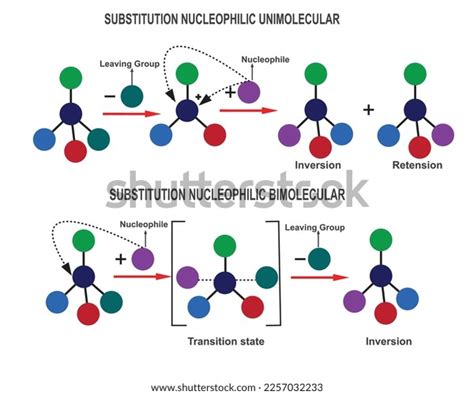 Nucleophilic Substitution Reaction Sn1 Sn2 Reaction Stock Vector Royalty Free 2257032233