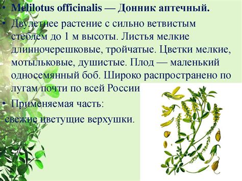 Гомеопатические лекарственные средства растительного происхождения ...