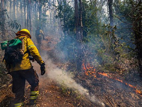 Onemi Mantiene Alerta Roja En Santa Juana Incendio Forestal Se