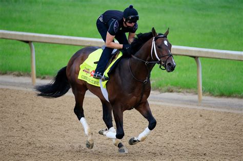 2014 Belmont Stakes Contenders Commanding Curve And Down The Stretch