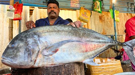 Kasimedu Speed Selvam Kg Giant Trevally Fish Cutting Video In