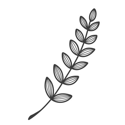 Line Art Leaf 11998078 Png