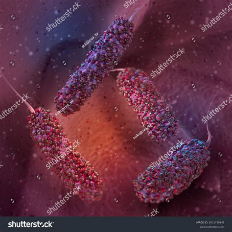 Medical Background Monotrichous Bacteria Rodshaped Bacteria Stock ...