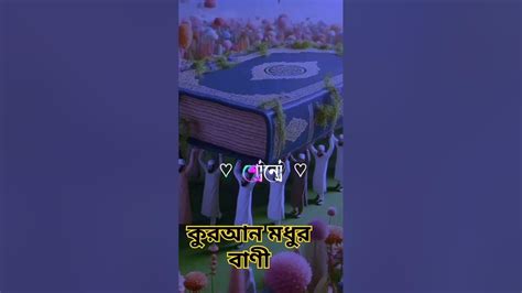 কোরআন মধুর ও বাণী 🥀💕আমি যখনই শুনি🥀🌼 Shortvideo Youtube