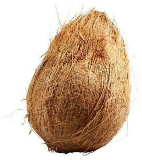 A Grade Semi Husked Fresh Raw Coconut Packaging Size Loose Coconut