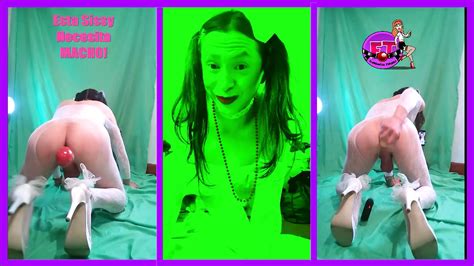 Sissy Masturbation Shemale Anal Toy Amateur Porn Feat Florencia Toledo XHamster