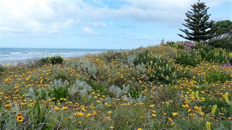 Weather in Waihi Beach | Beach Pacific Apartments