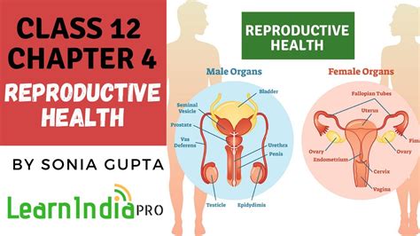 Problems And Strategies Reproductive Health Class 12 Neet