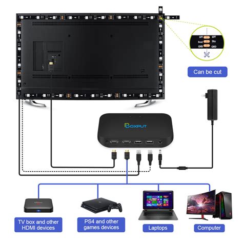Boxput Official | Simplify Your Digital Life