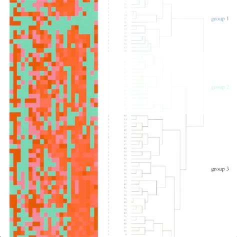 Two Dimensional Hierarchical Cluster Analysis Of Marker Profile In