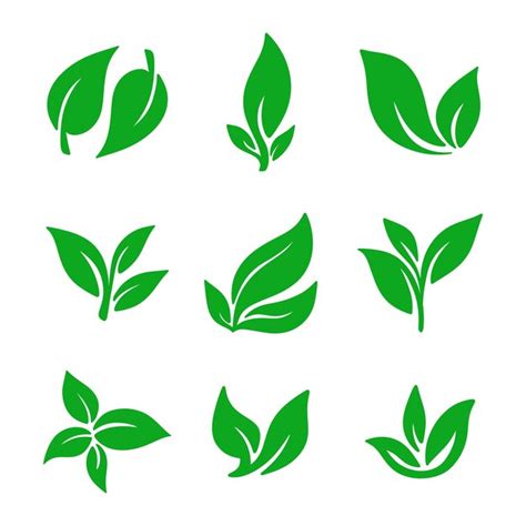 Premium Vector Green Leaf Icon Set Vector