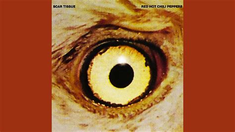 RED HOT CHILI PEPPERS SCAR TISSUE Single Album 1999