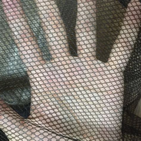 Ограждение для домашних собак Изолированная сеть Лестницы ворота ...