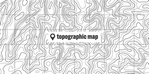 Topographic map with contour lines geographic Vector Image