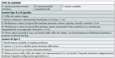 Lesioni Traumatico Degenerative Della Cuffia Dei Rotatori Top Physio