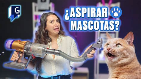 Aspiradora DYSON V12 la SOLUCIÓN a los PELOS de tus MASCOTAS GEEK