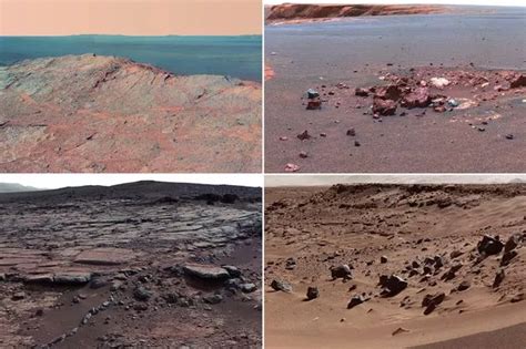 Naked Man Chases White Van Driver Down Street To Save Niece From Abduction Mirror Online