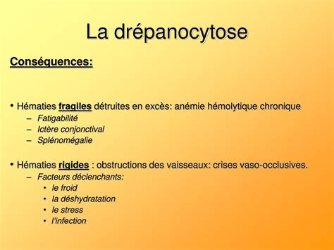 PPT La drépanocytose PowerPoint Presentation free download ID 5427177