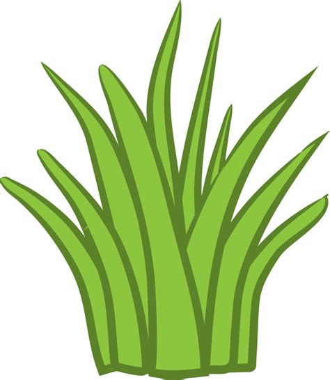 Grass png graphic clipart design 19152815 PNG