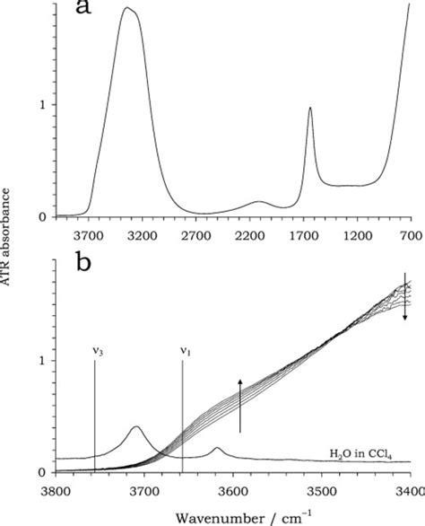 Ir Atr Spectra Of Liquid Water A 4000 700 Cm − 1 Download Scientific Diagram