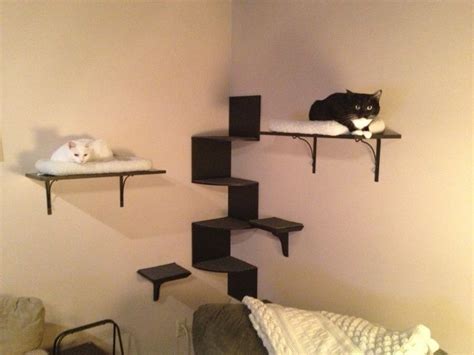 Cat Shelves On Wall My Diy Cat Wall Diy Cat Shelves Floating Cat