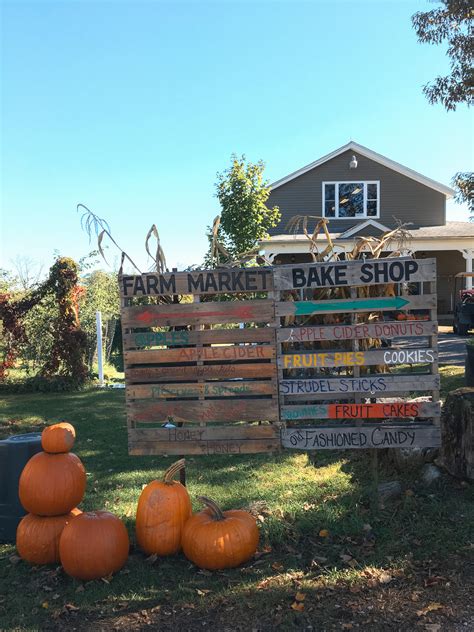 Apple picking nyc trips are the most popular weekend activity 21