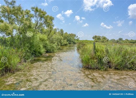 Parc Naturel R Gional Du Camargue Image Stock Image Du Campagne