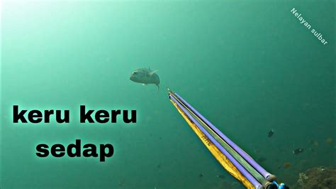 Spearfishing Sulawesi Barat Berburu Ikan Manukan Dll Youtube