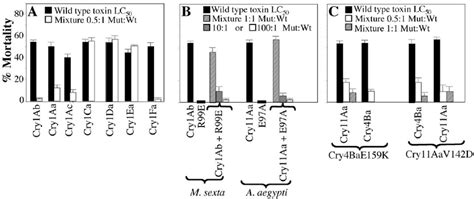 In Vivo Analysis Of The Dominant Negative Phenotype Of Cry Mutants