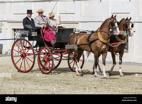 Phaeton carriage hi-res stock photography and images - Alamy