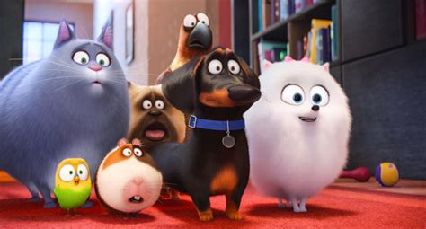 飼い主がいない時、犬や猫は何してる？ アニメ映画「ペット」 「犬や猫ともっと幸せに」をコンセプトにしたwebメディア「sippo」