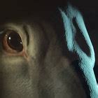 Imagine Naked Ohyung