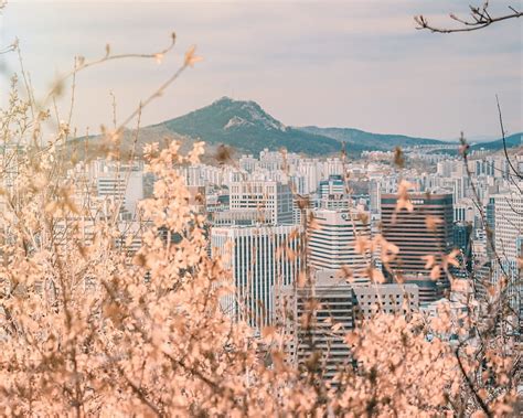 Seoul Seoul Landscape Hd Wallpaper Peakpx