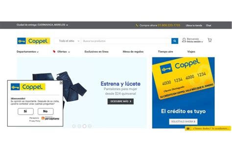 Apuesta Coppel A Crecimiento En Sus Ventas Por Comercio Electrónico