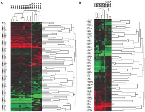 Cell Type Specific Differences In Gene Expression Dendrogram Depicting