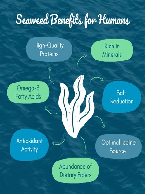 Seaweed Benefits For Humans 1685070481 | PDF