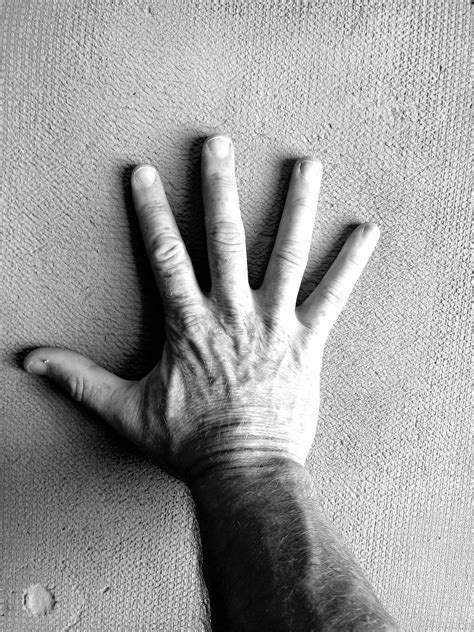 A Daily Decision To Grow. All growth is uncomfortable and yet the… | by