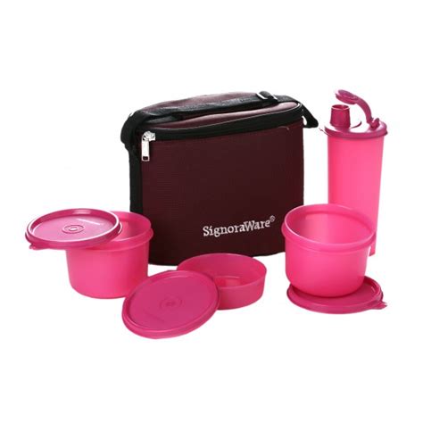 Buy Signoraware Combo Executive Lunch Box Pink Medium Online ₹690 From Shopclues