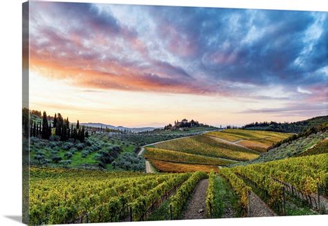 farmhouse surrounded  vineyards  sunrise gaiole  chianti