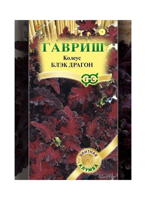 Семена колеуса