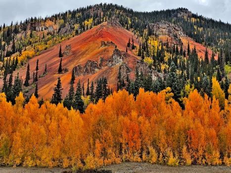 Solve San Juan Mountain Fall Color Jigsaw Puzzle Online With 63 Pieces