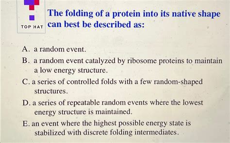 Solved The Folding Of A Protein Into Its Native Chegg