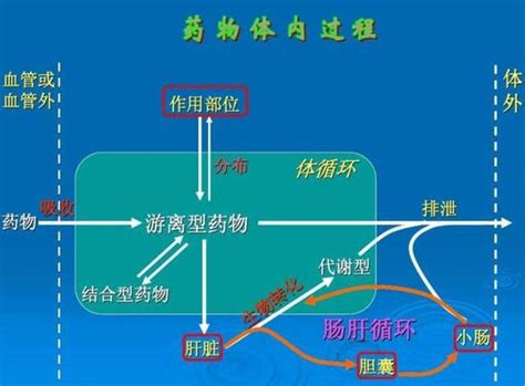 Pubchem数据库查询药物信息：药理学和生物化学 知乎