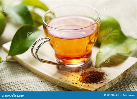 Rooibos Tea Stock Photo Image Of Life Beverage Close 17124744