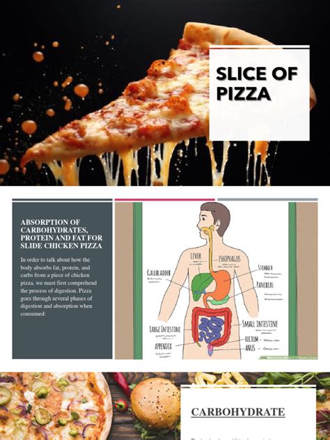 Slice of Pizza | PDF | Carbohydrates | Digestion