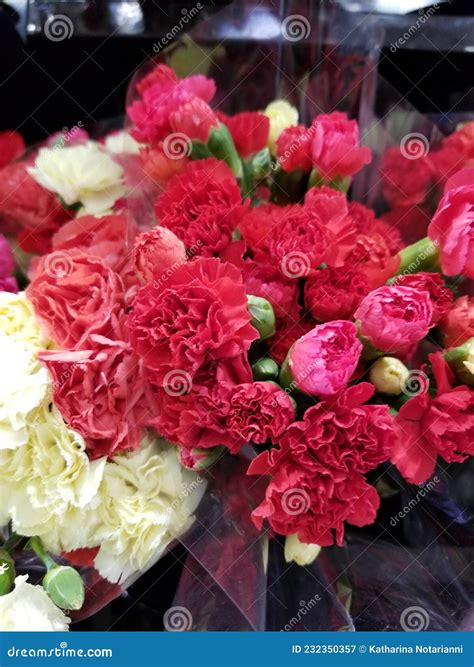 Flower Garden Series Carnations And Baby`s Breath Bouquet Stock Image