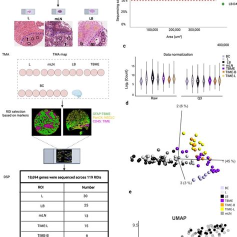 Digital Spatial Profiling Of Primary Nsclc And Metastasized Tumor